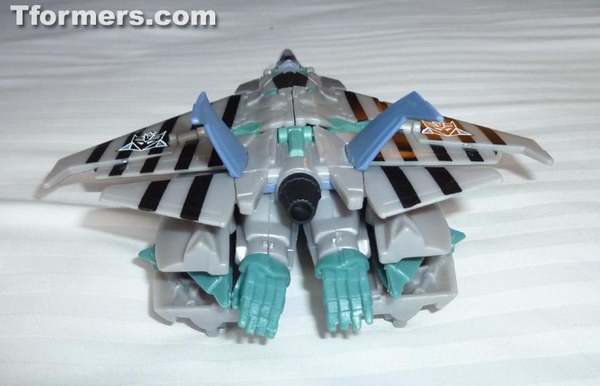 BotCon 2013   Convention Termination And Attendee Exclusives Figures Images Day 1 Gallery  (18 of 170)